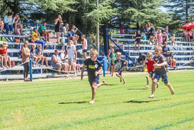 421978894 873057784829037 n