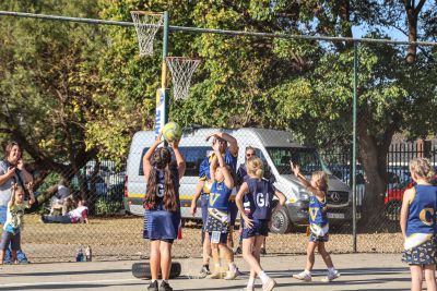 436151411 950189903782491 n